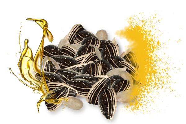 Sunflower Oil
