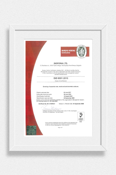 ISO 9001 — Kalite Yönetimi