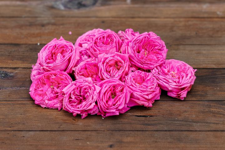 Rosenernte
