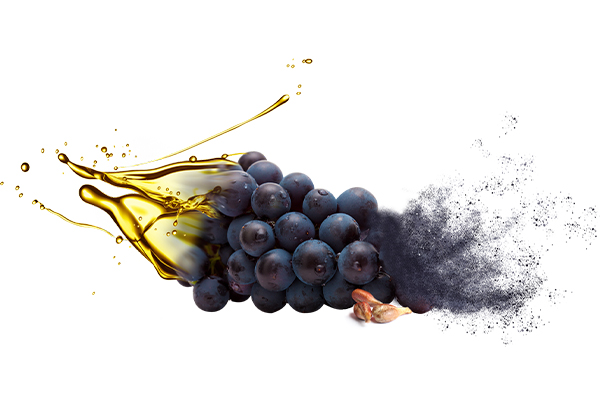 Grape Seed Oil