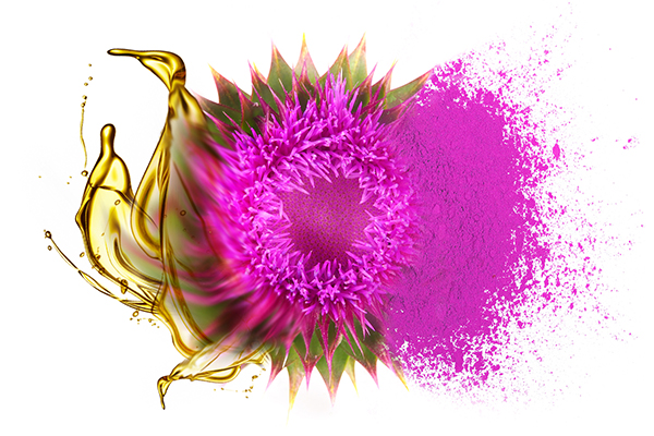 Milk Thistle Oil